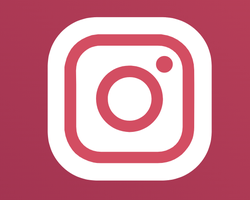 Instagram粉丝 | Follows | 高品质 | 稳定 | 0-6小时启动 | 60天补充